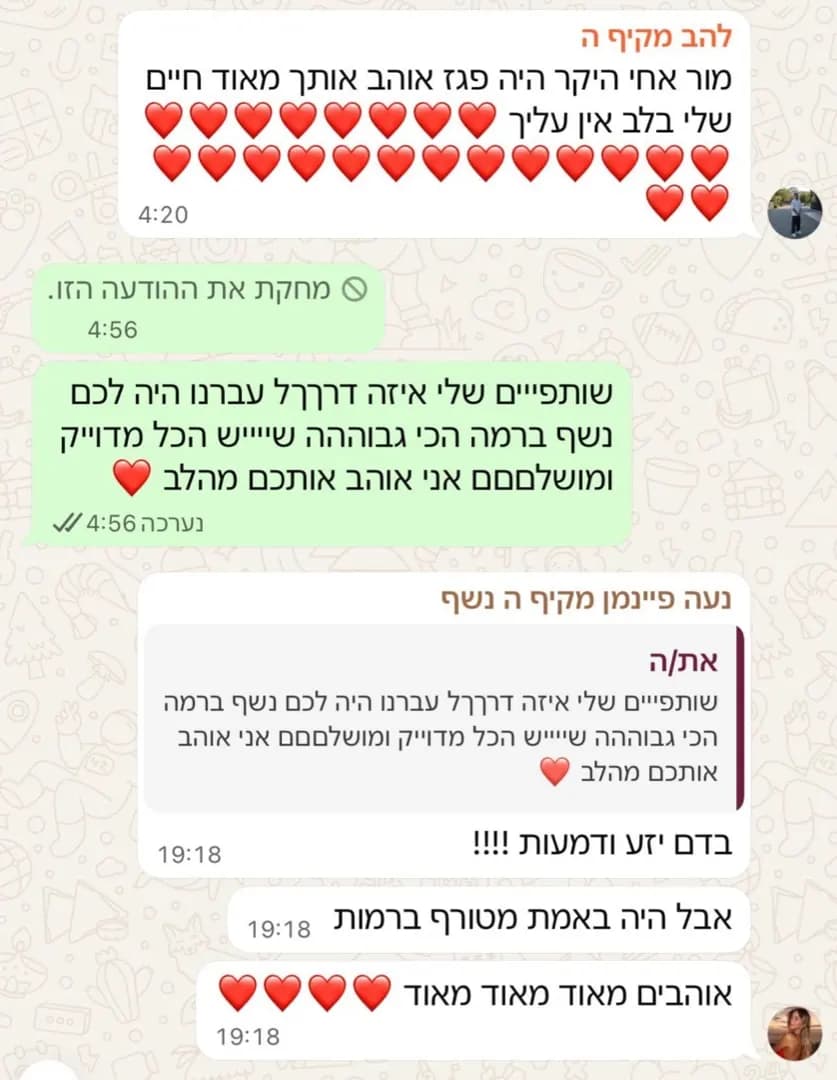 ביקורת 1