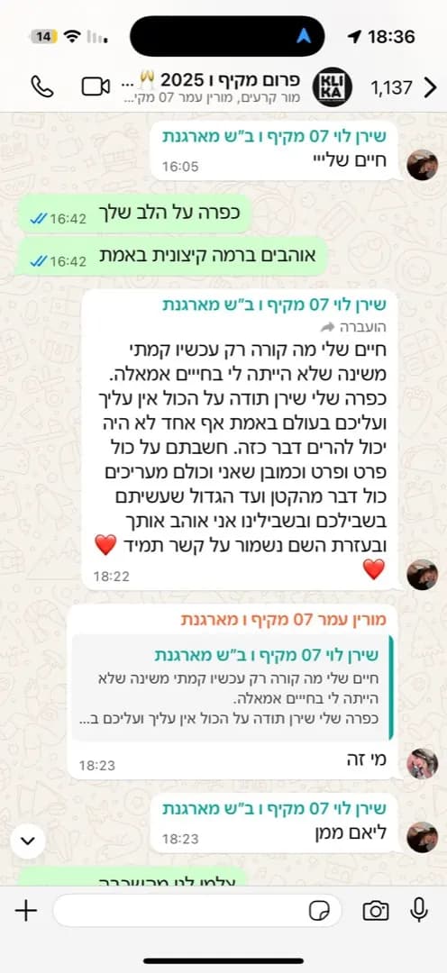 ביקורת 4