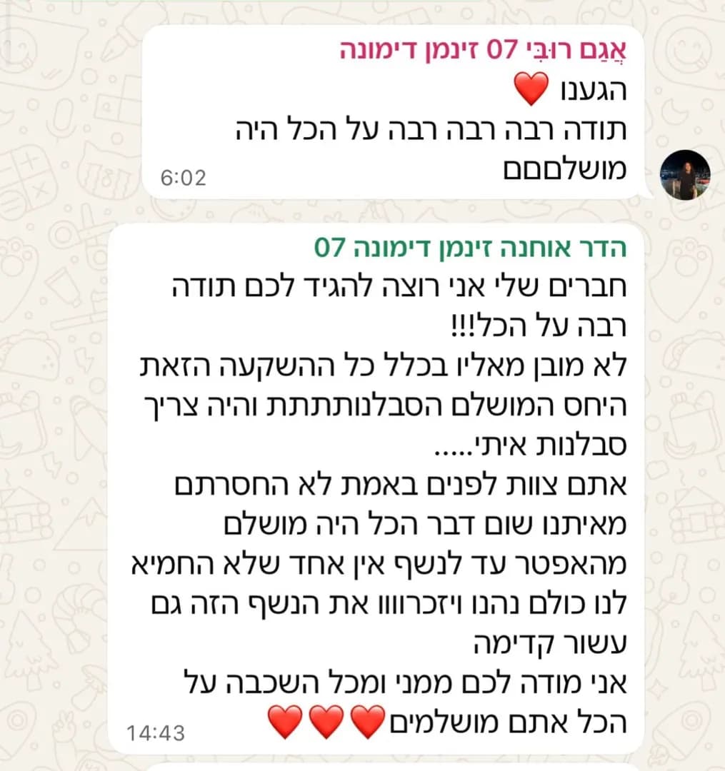 ביקורת 17
